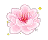 Rina
